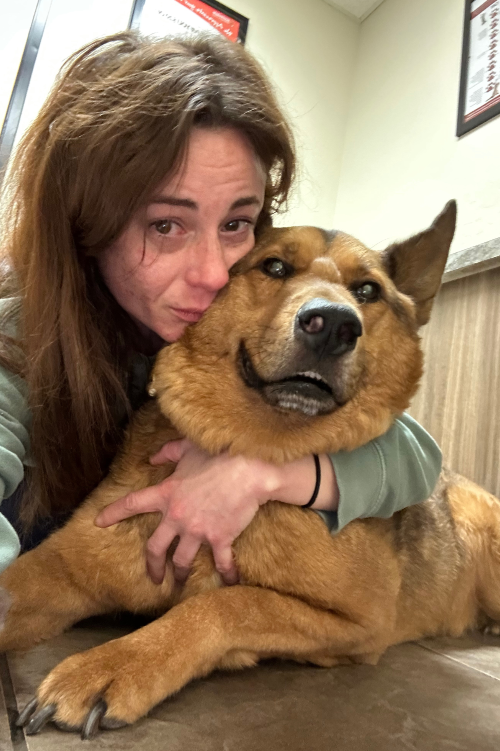 I got Gus back on August 1, 2015 from the Arizona Animal Welfare League after my dad had passed the previous October. Gus was everything to me.