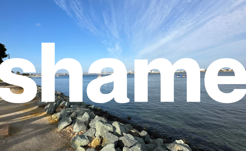 The word shame overlaid on top of an image of the California ocean in San Diego. Outgrowing Toxic People + Embrace Your Invincible Summer