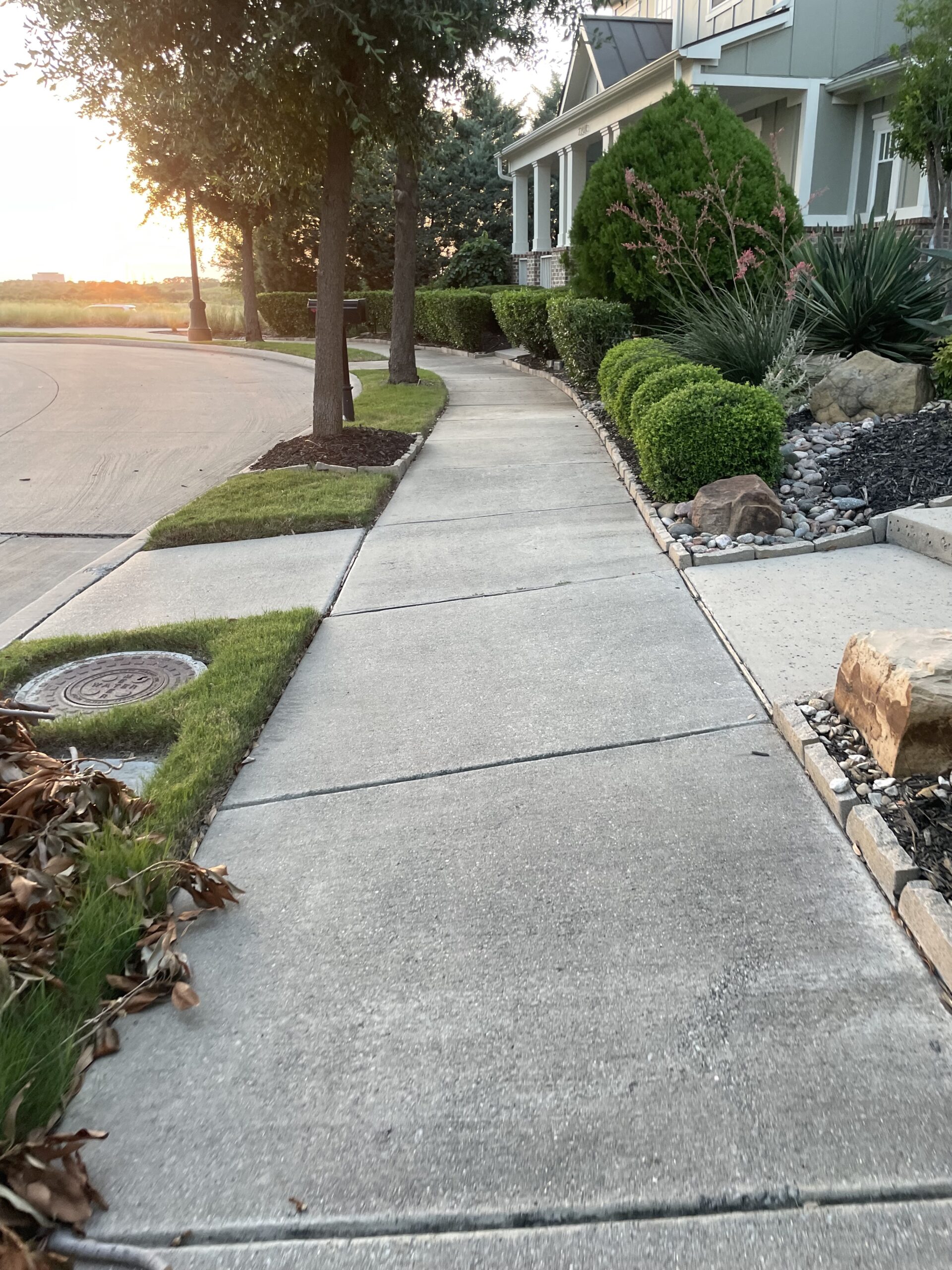 Walking is a natural, low-impact activity that can significantly benefit mental health. The rhythmic motion of walking promotes bilateral brain stimulation, akin to the eye movements used in traditional EMDR therapy.